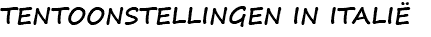 TENTOONSTELLINGEN IN ITALIË